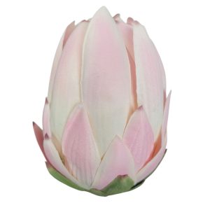 PROTEA WYROBOWA DL030504 LT.PINK