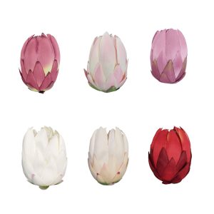 PROTEA WYROBOWA DL030504 MIX KOLORÓW