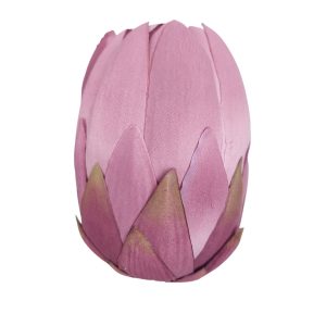 PROTEA WYROBOWA DL030504 VIOLET