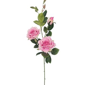 RÓŻA GAŁĄZKA DL020419 PINK EDGE GREEN