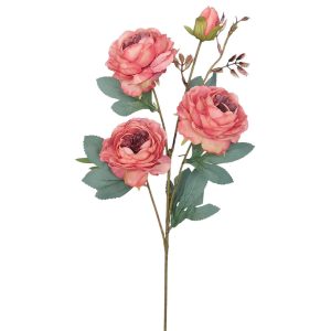 RÓŻA GAŁĄZKA TF17125230 PINK PURPLE