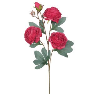 RÓŻA GAŁĄZKA TF17125230 RED