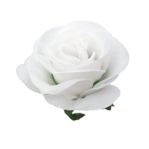 RÓŻA MERCEDESKA WW2601 CREAM