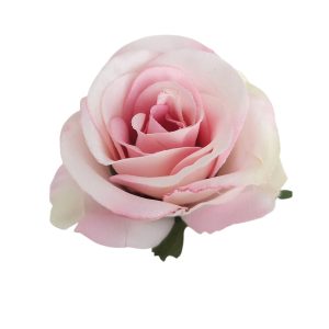 RÓŻA MERCEDESKA WW2601 PINK