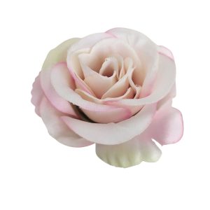 RÓŻA MERCEDESKA WW2601 POWDER PINK BEIGE