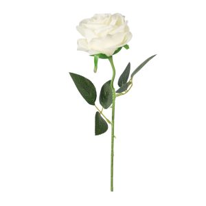 RÓŻA POJEDYNCZA DL020424 CREAM