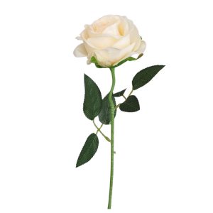 RÓŻA POJEDYNCZA DL020424 PEACH