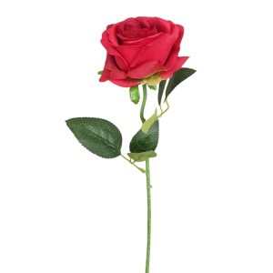 RÓŻA POJEDYNCZA DL020424 RED