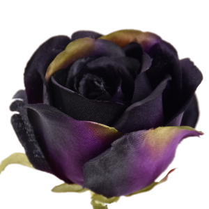 RÓŻA WYROBOWA MGHT #78 BLACK PURPLE