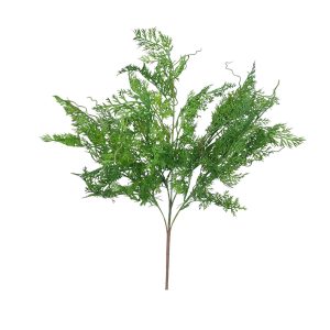 BUKIET ASPARAGUS FLO-2627 GREEN