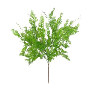 BUKIET ASPARAGUS FLO-2627 LT.GREEN