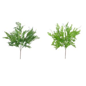 BUKIET ASPARAGUS FLO-2627 MIX KOLORÓW