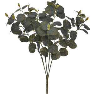 BUKIET EUKALIPTUS EUK004 DR.GREEN VIOLET