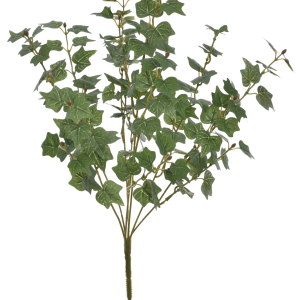 BUKIET HEDERA BLUSZCZ EUK011 GREEN