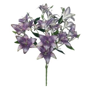 BUKIET LILIA FLO-2621 DK.VIOLET