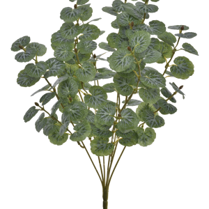 BUKIET SKALNICA EUK014 POWDER GREEN