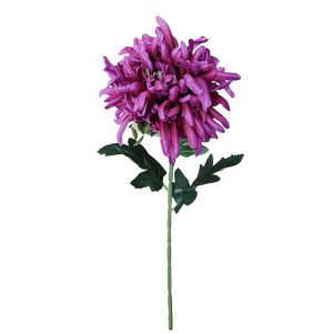 CHRYZANTEMA POJEDYNCZA DL050583 PURPLE
