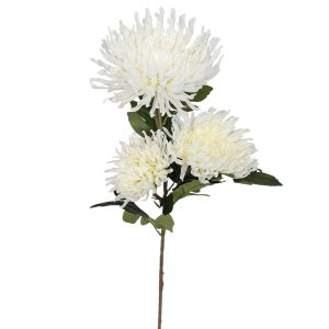 CHRYZATEMA GAŁĄZKA 6JSJ03B CREAM