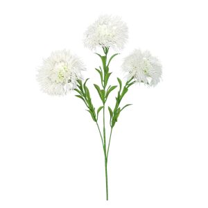 CZOSNEK GAŁĄZKA FLO-2623 CREAM