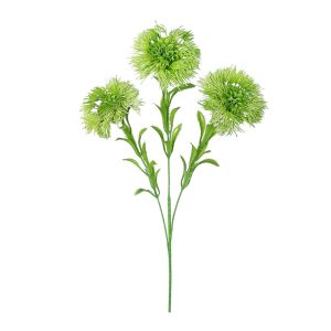 CZOSNEK GAŁĄZKA FLO-2623 GREEN