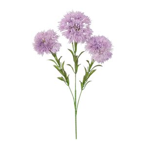 CZOSNEK GAŁĄZKA FLO-2623 VIOLET