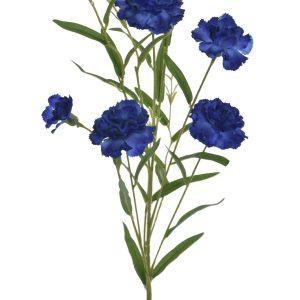 GOŹDZIK GAŁĄZKA SUN641 DR.BLUE