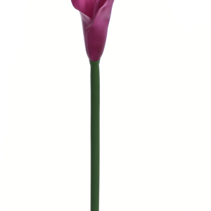 KALLA POJEDYNCZA ANA1013 #102S FUCHSIA