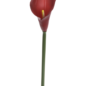 KALLA POJEDYNCZA ANA1013 #158 DEEP RED