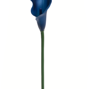 KALLA POJEDYNCZA ANA1013  #203 DEEP BLUE