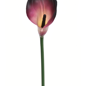 KALLA POJEDYNCZA ANA1013 #219S CREAMY PLUM