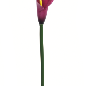 KALLA POJEDYNCZA ANA1013 #92S AUBERGINE YELLOW