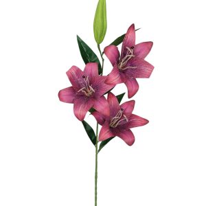 LILIA GAŁĄZKA FLO-2620 BURGUNDY #26
