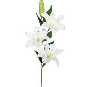LILIA GAŁĄZKA FLO-2620 CREAM #13