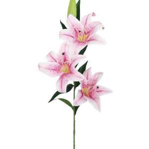 LILIA GAŁĄZKA FLO-2620 DK.PINK #15