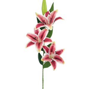 LILIA GAŁĄZKA FLO-2620 DK.RED EDGE GREEN #6