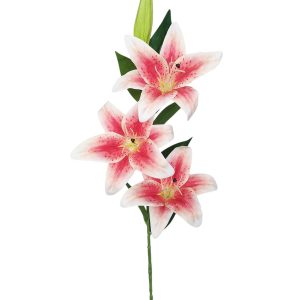LILIA GAŁĄZKA FLO-2620 RED #12