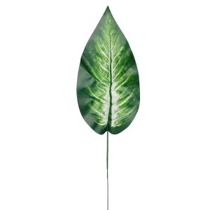 LIŚĆ DIFENBACHIA H006B-01