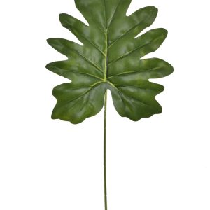 LIŚĆ FILODENDRON GREE022 GREEN