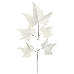 LIŚĆ KLON KP0201 CREAM