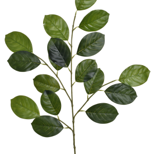 LIŚĆ OLCHY GREE024 LT.GREEN
