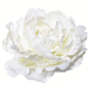 PIWONIA WYROBOWA ART060 #34 WHITE GREEN