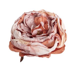 PIWONIA WYROBOWA FLO-26SF16-81 BROWN