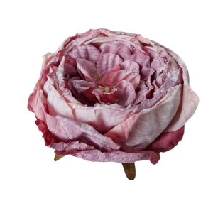 PIWONIA WYROBOWA FLO-26SF16-81 DIRTY VIOLET DK.PINK