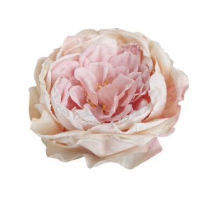 PIWONIA WYROBOWA FLO-26SF16-81 LT.PINK DK.CREAM
