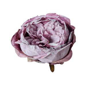 PIWONIA WYROBOWA FLO-26SF16-81 VIOLET