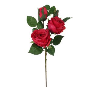 RÓŻA GAŁĄZKA FLO-2624 RED