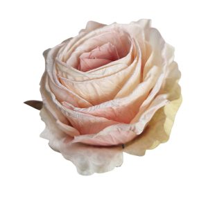 RÓŻA WYROBOWA FLO-26SF16-79 CREAM PINK