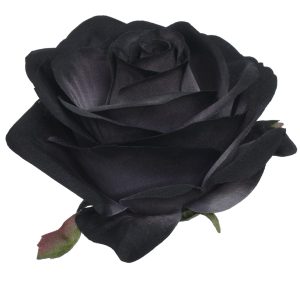 RÓŻA WYROBOWA SUN385 GREY EDGE BLACK