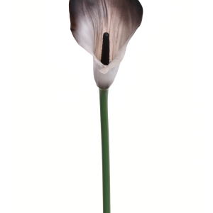 KALLA POJEDYNCZA ANA1013 #213 WHITE BLACK